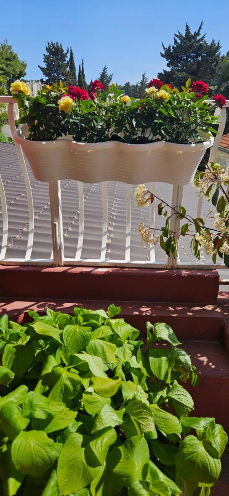 Apartments Afrodita Дубровник Екстериор снимка